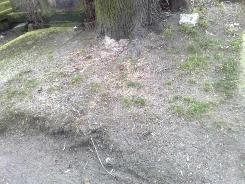 Zdjęcie grobu: Pole Grobowe