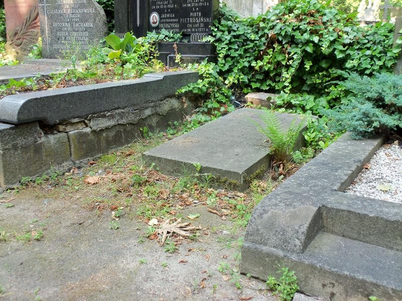 Zdjęcie grobu Tadeusz Nasierowski (1)