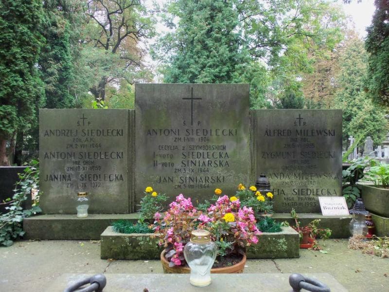 Zdjęcie grobu Zofia Siedlecka (2)