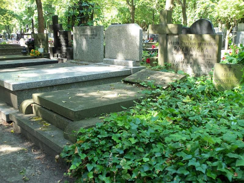 Zdjęcie grobu Włodzimierz Leszczyński (1)
