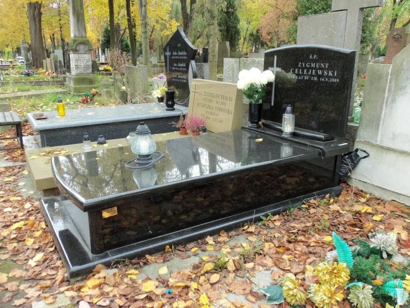 Zdjęcie grobu Zygmunt Celejewski (1)