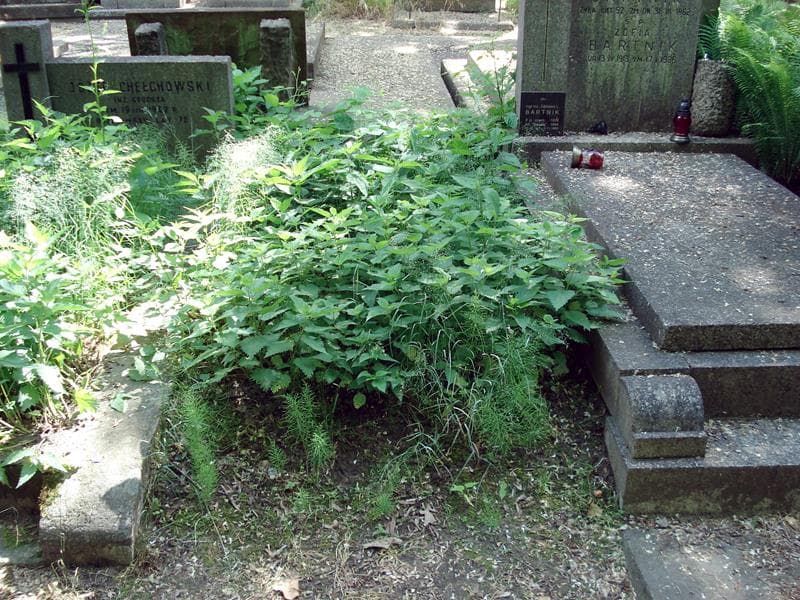 Zdjęcie grobu: Pole Grobowe