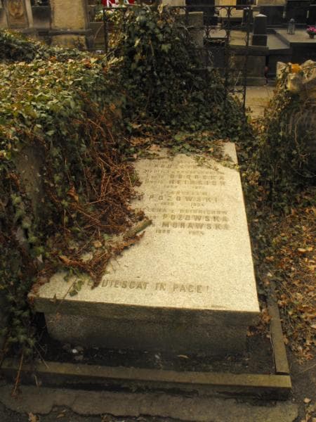 Zdjęcie grobu Teofila Heinrich (1)