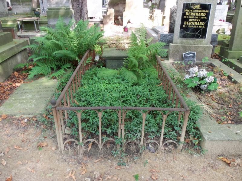 Zdjęcie grobu: G.s. Pitius