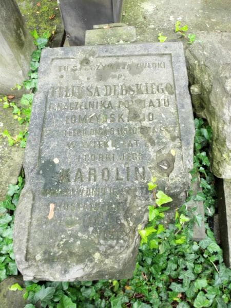 Zdjęcie grobu Felks Dębski (2)