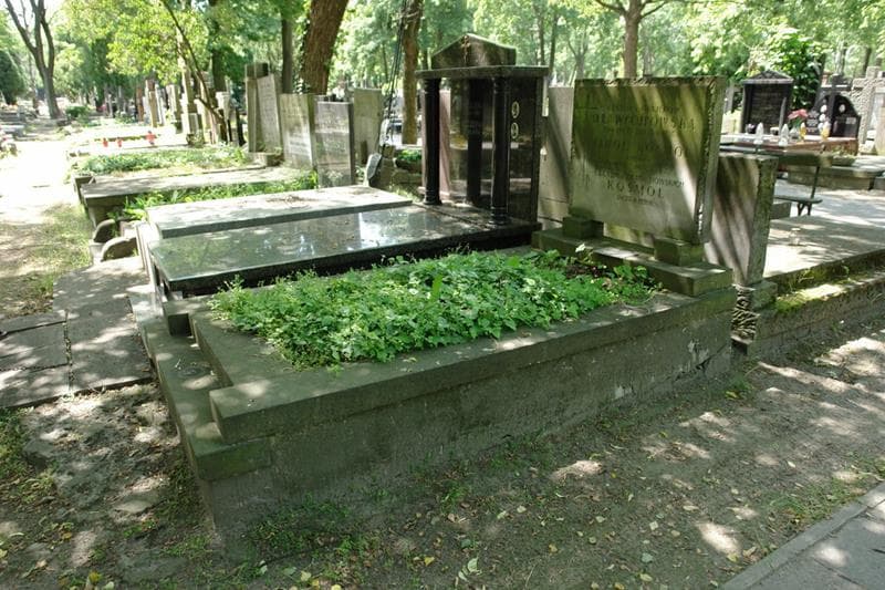 Zdjęcie grobu: Cecylia Dławichowska