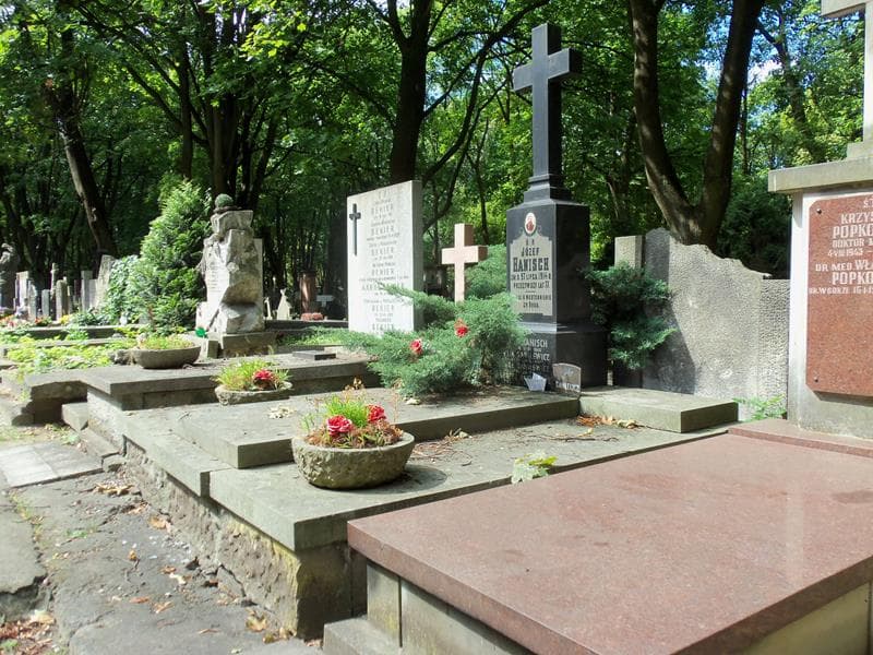 Zdjęcie grobu Michał Danilewicz (1)