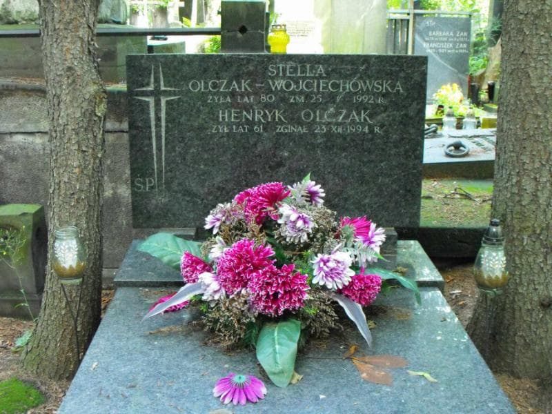 Zdjęcie grobu Henryk Olczak (2)