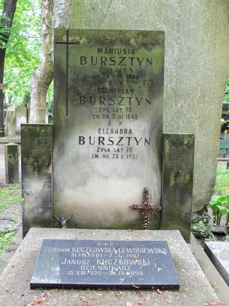 Zdjęcie grobu Stefania Kuczkowska-Leoniewska (2)