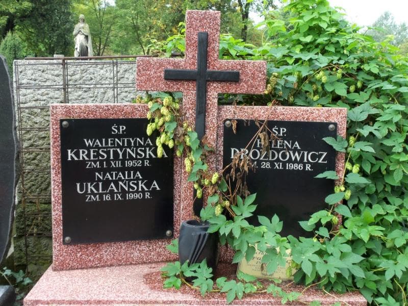 Zdjęcie grobu Helena Drozdowicz (2)