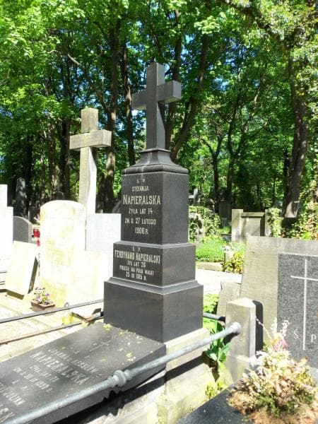 Zdjęcie grobu Stefanja Napieralska (2)