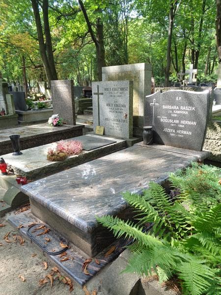 Zdjęcie grobu: Józefa Herman