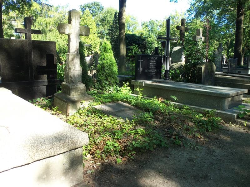 Zdjęcie grobu Feliks Jankowski (1)