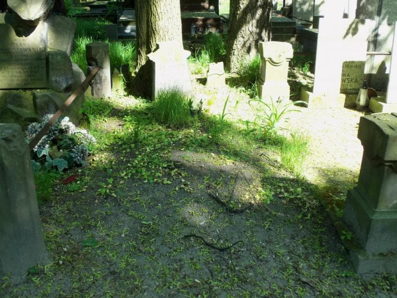 Zdjęcie grobu: Antoni Błocki