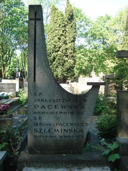 Zdjęcie grobu Irmina Szlemińska (2)