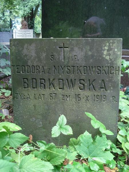 Zdjęcie grobu Teodora Borkowska (1)