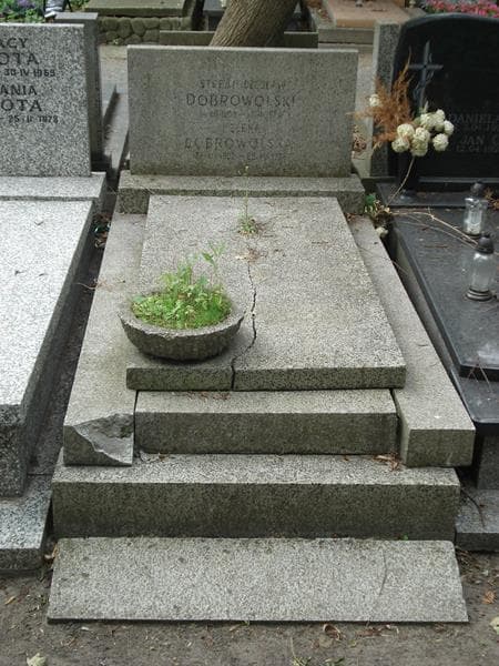 Zdjęcie grobu: Stefan Czesław Dobrowolski
