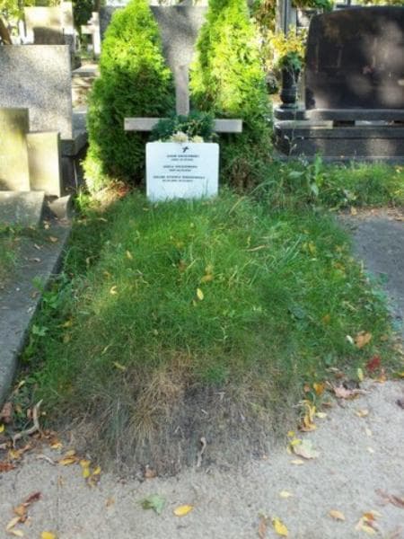 Zdjęcie grobu: Adam Golejewski