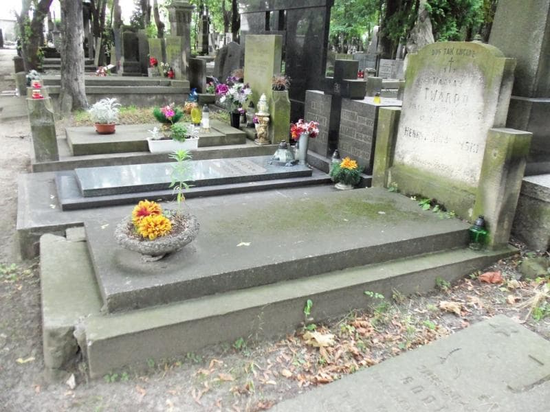 Zdjęcie grobu: Henryk ...