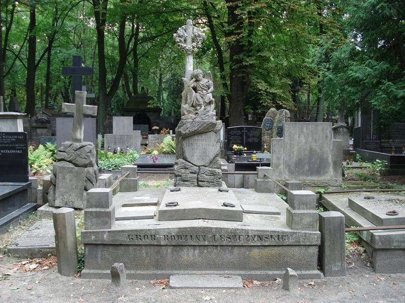 Zdjęcie grobu Witold Kozłowski (1)