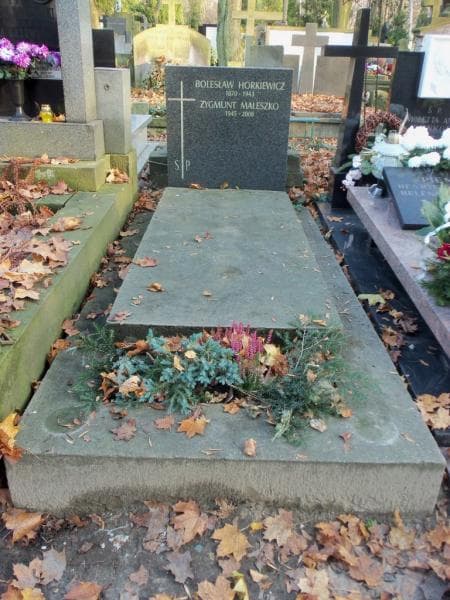 Zdjęcie grobu: Zygmunt Maleszko