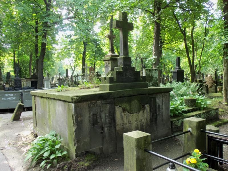 Zdjęcie grobu Gollonna Czosnowscy (1)