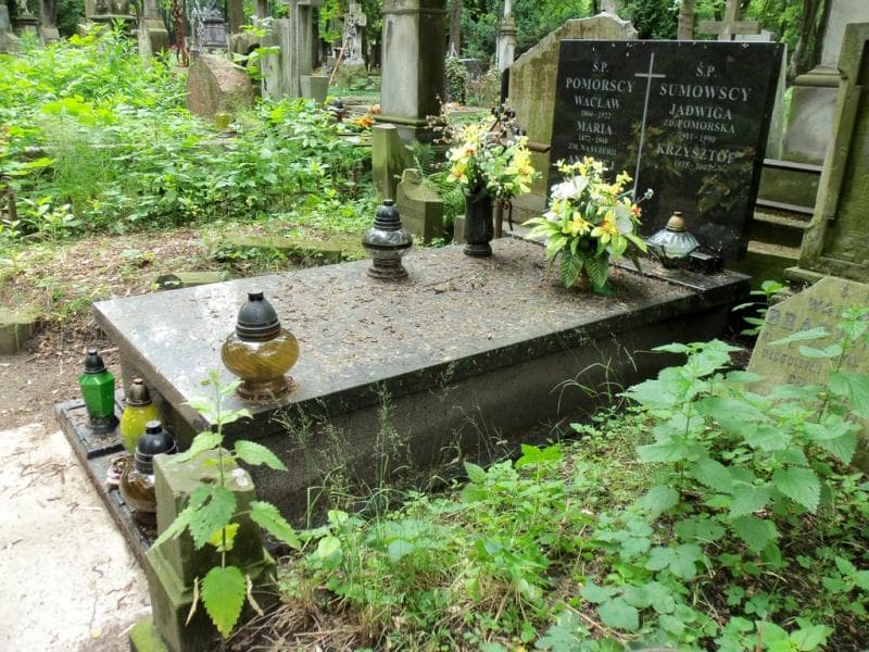Zdjęcie grobu Andrzej Pomorski (1)