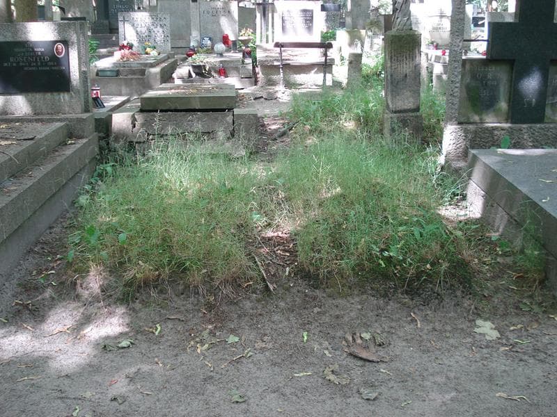 Zdjęcie grobu: Pole Grobowe