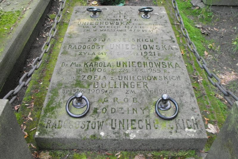 Zdjęcie grobu Karola Uniechowska (2)