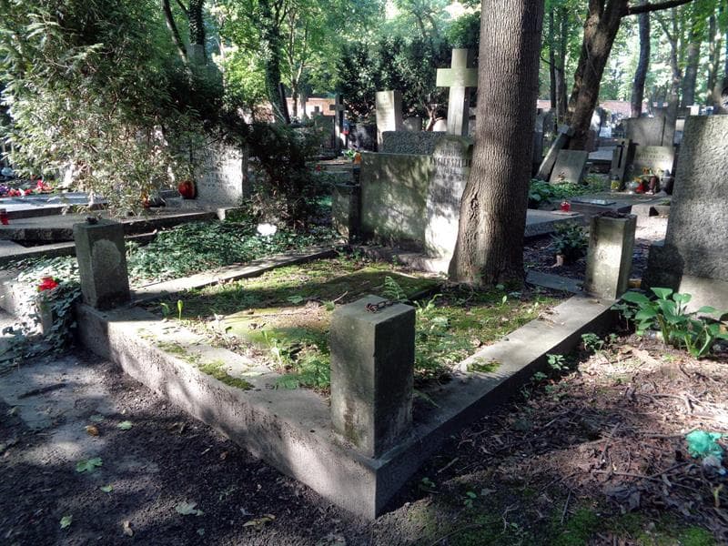 Zdjęcie grobu: Januszek Angiersztejn