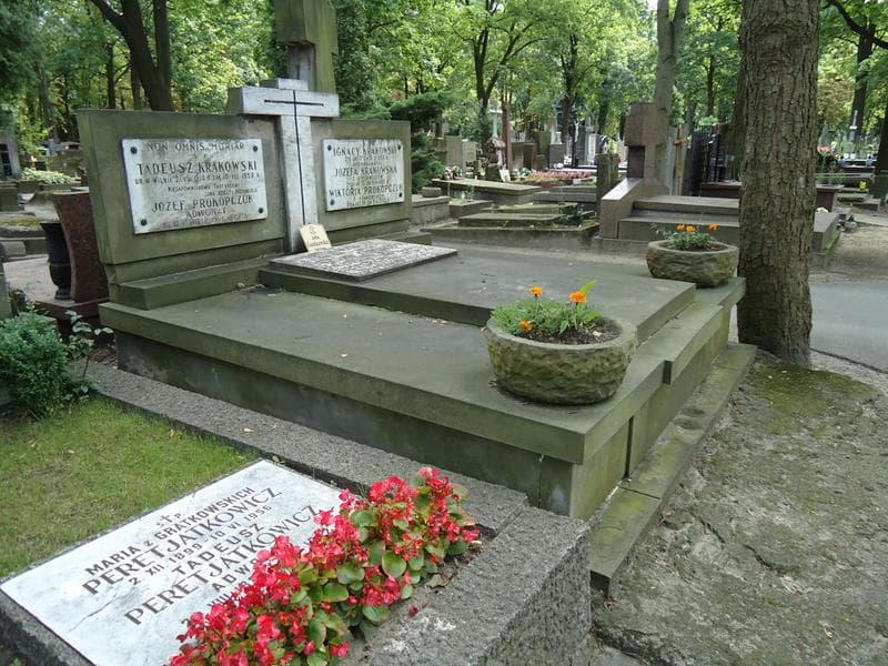 Zdjęcie grobu Eleonora Chwojnowska (1)