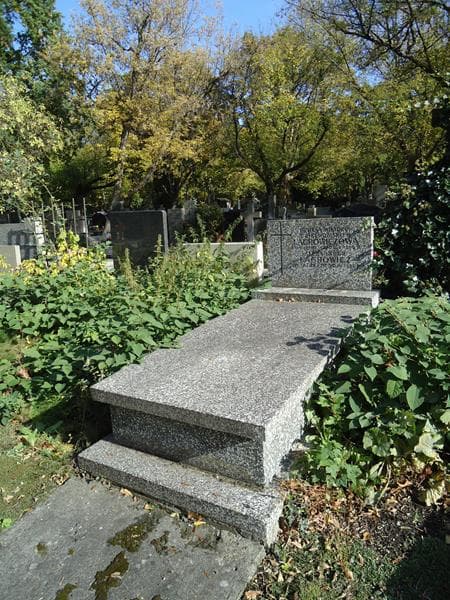 Zdjęcie grobu Aleksander Lachowicz (1)