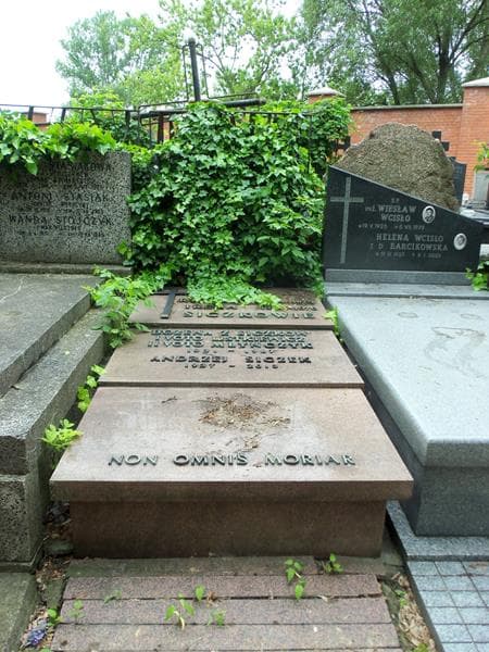 Zdjęcie grobu: Andrzej Siczek