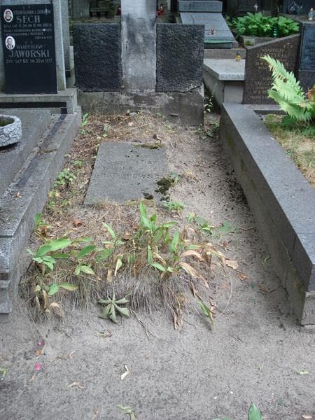 Zdjęcie grobu Jadwiga Chrzanowska (1)