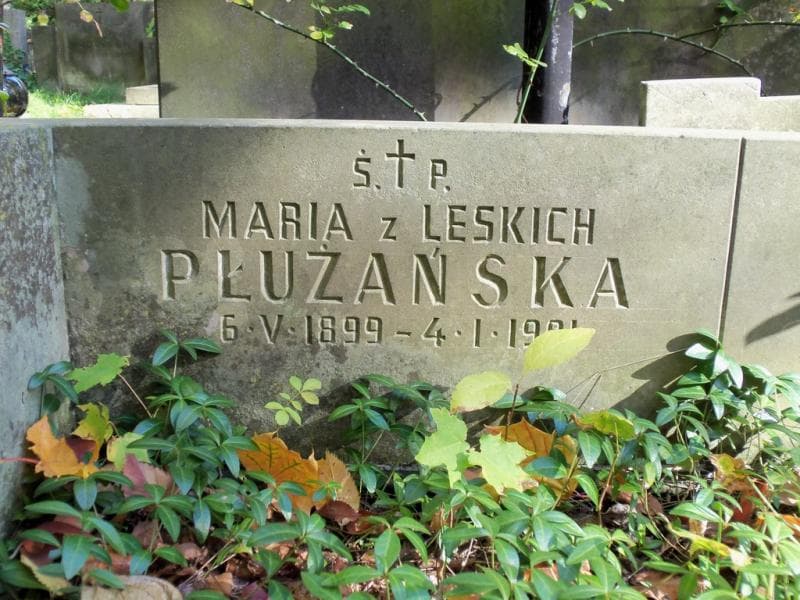 Zdjęcie grobu Anna Jaxa-Chamiec (2)