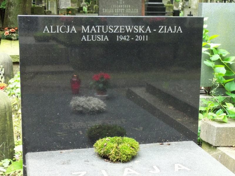Zdjęcie grobu Stanisław Ziaja (2)