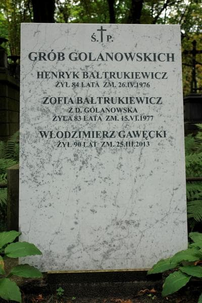 Zdjęcie grobu Henryk Bałtrukiewicz (2)