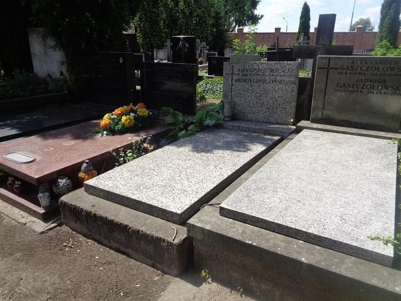 Zdjęcie grobu: Aleksander Klepacki