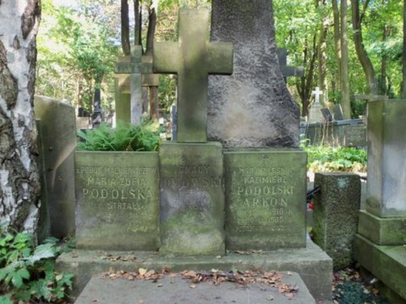 Zdjęcie grobu Ignacy Dmowski (2)