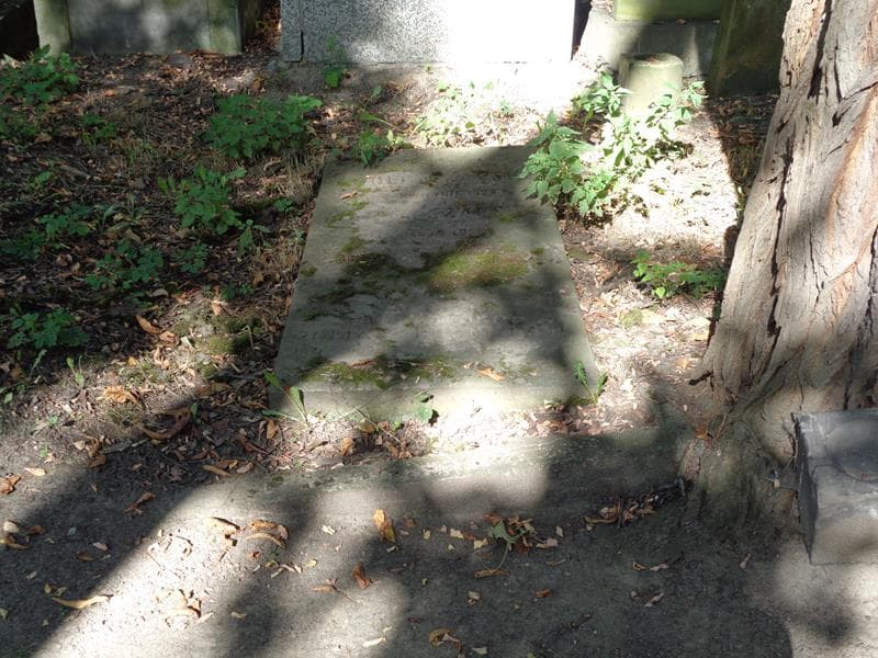 Zdjęcie grobu Adolf Czapski (1)