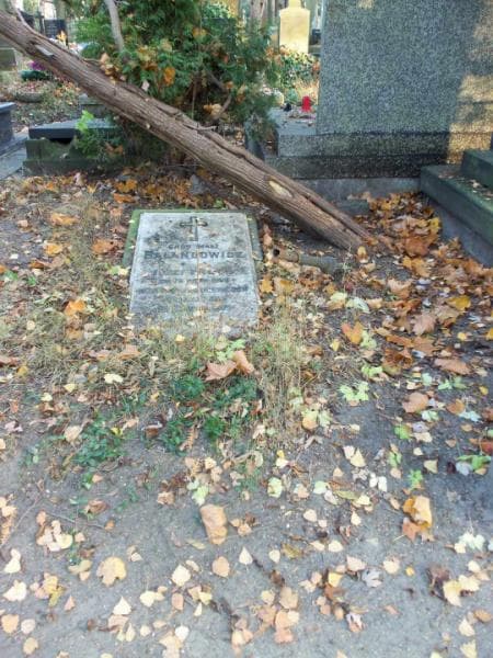 Zdjęcie grobu: Józef Bałandowicz