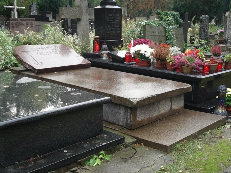 Zdjęcie grobu Henryk Trociński (1)