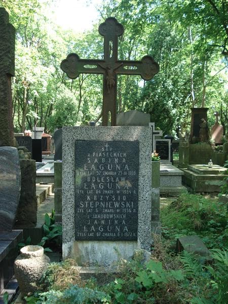 Zdjęcie grobu Krzysio Stępniewski (2)