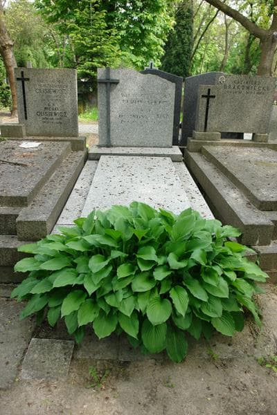 Zdjęcie grobu: Florentyna Czajka