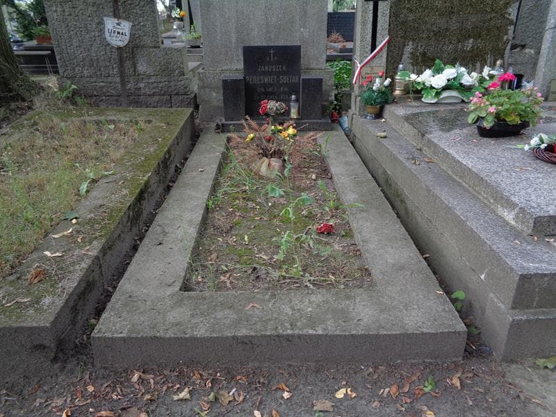 Zdjęcie grobu: Januszek Pereświet - Sołtan