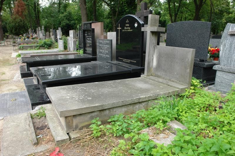 Zdjęcie grobu: Halina Stok-Stokowiec