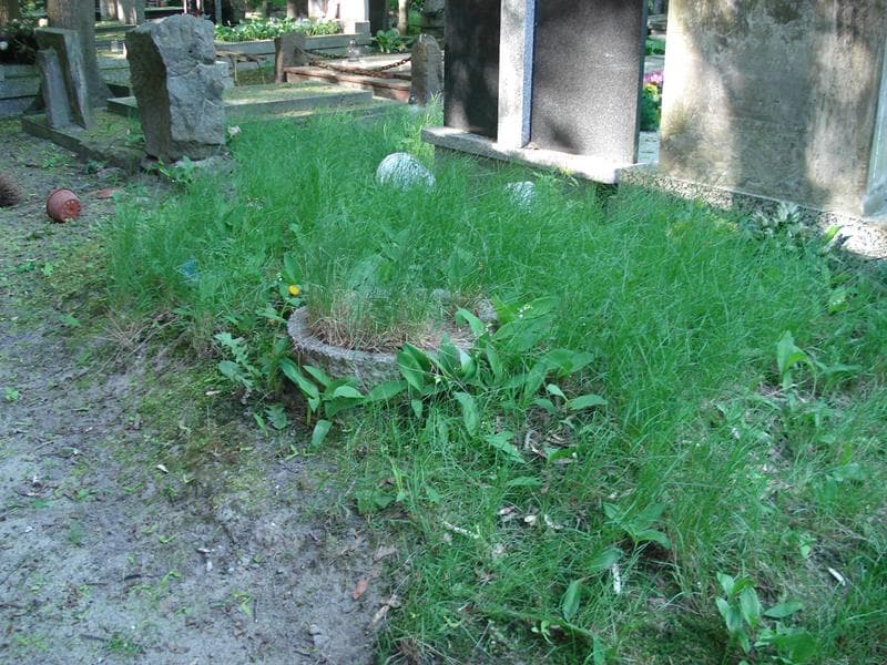 Zdjęcie grobu: Pole Grobowe
