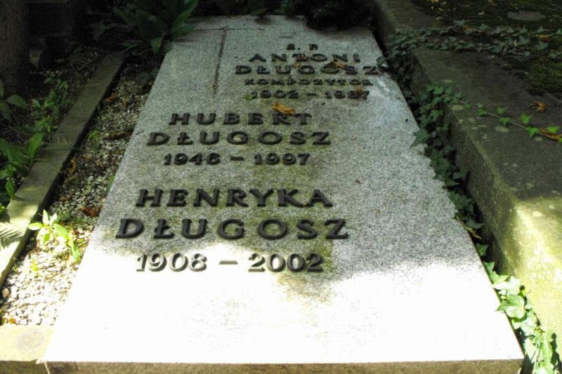 Zdjęcie grobu Henryka Długosz (1)