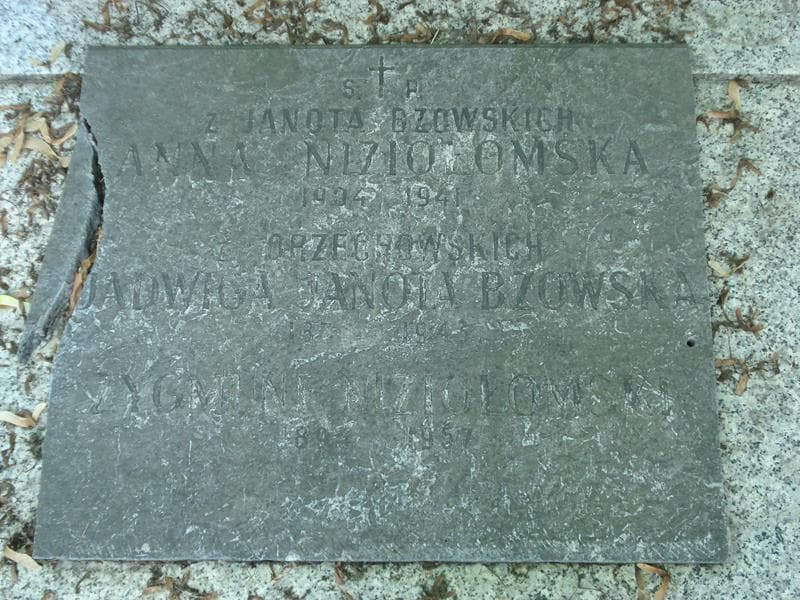 Zdjęcie grobu Anna Kozieł - Poklewska (2)
