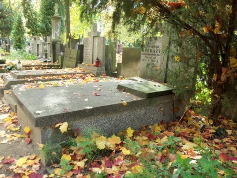 Zdjęcie grobu Stanisław Chorąży (1)